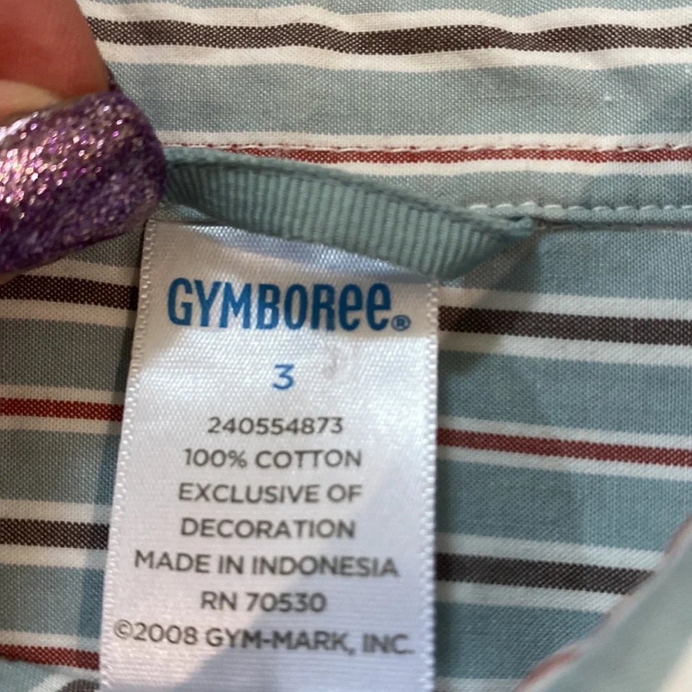 Gymboree 3t button down